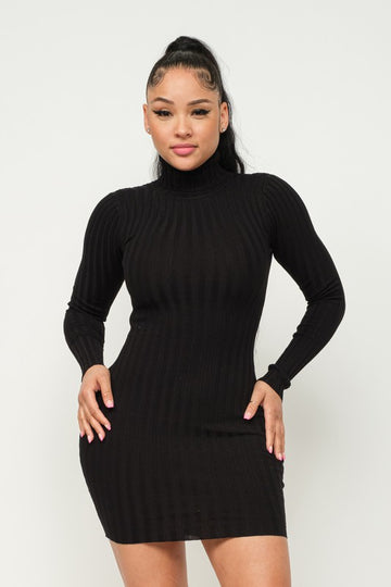 Turtle Neck Ribbed Mini Dress